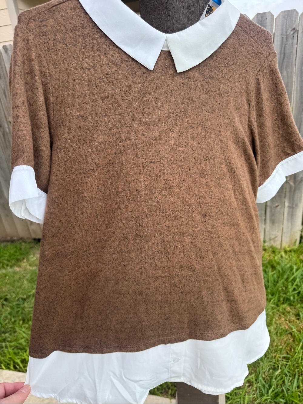 Misia Brown Top with White Peter Pan Collar and Trim